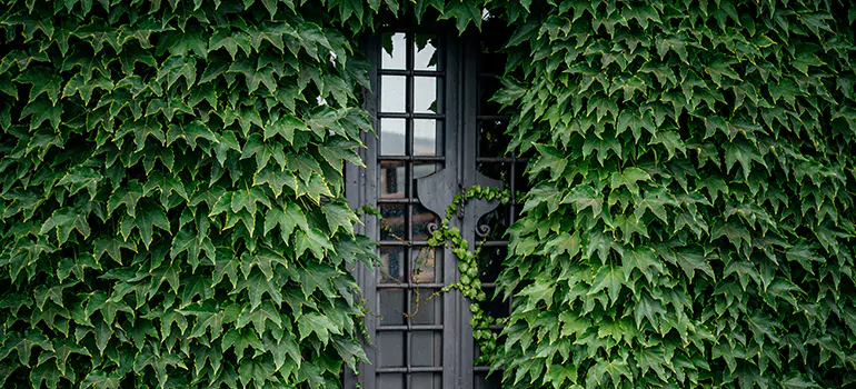 Garden Gate Repair in Deerfield Beach, FL
