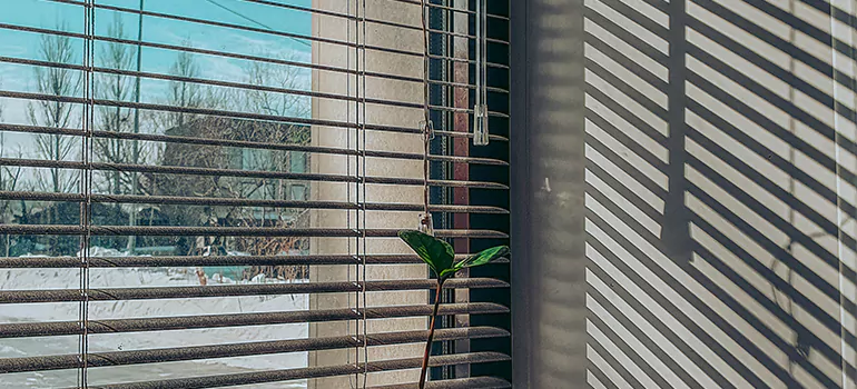 Commercial Window Blinds in Deerfield Beach, FL