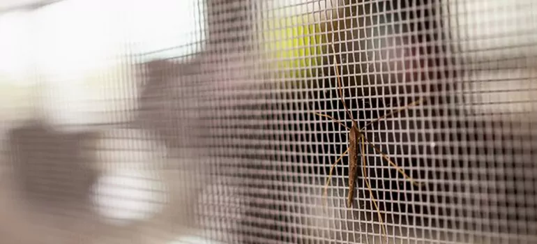 Repair Mosquito Mesh For Windows in Deerfield Beach, FL