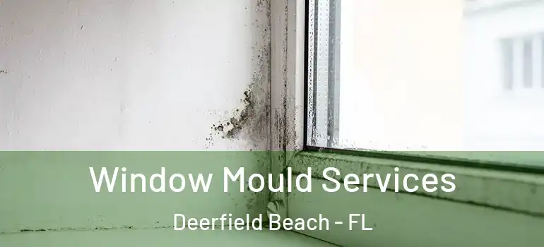  Window Mould Services Deerfield Beach - FL